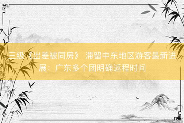 三级《出差被同房》 滞留中东地区游客最新进展：广东多个团明确返程时间