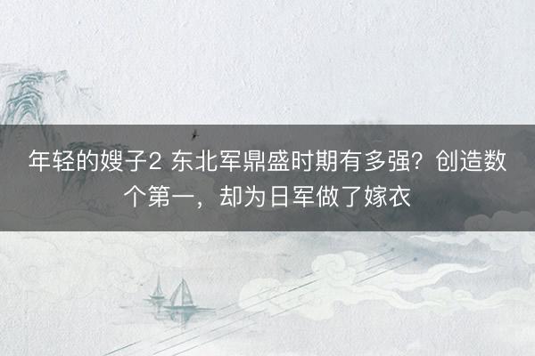 年轻的嫂子2 东北军鼎盛时期有多强？创造数个第一，却为日军做了嫁衣