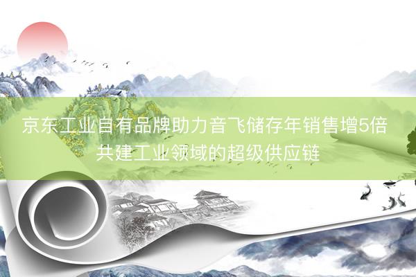 京东工业自有品牌助力音飞储存年销售增5倍 共建工业领域的超级供应链