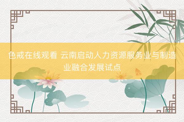色戒在线观看 云南启动人力资源服务业与制造业融合发展试点