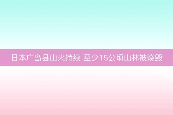 日本广岛县山火持续 至少15公顷山林被烧毁