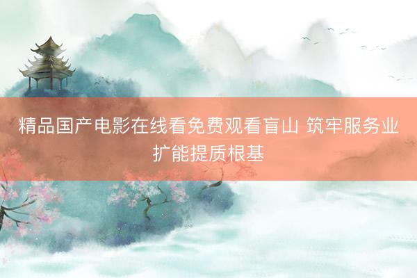 精品国产电影在线看免费观看盲山 筑牢服务业扩能提质根基