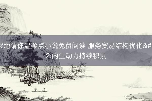 爹地请你温柔点小说免费阅读 服务贸易结构优化 内生动力持续积累