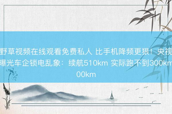 野草视频在线观看免费私人 比手机降频更狠！央视曝光车企锁电乱象：续航510km 实际跑不到300km