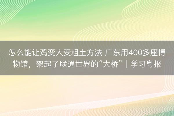 怎么能让鸡变大变粗土方法 广东用400多座博物馆，架起了联通世界的“大桥”｜学习粤报