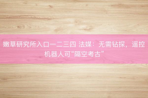嫩草研究所入口一二三四 法媒：无需钻探，遥控机器人可“隔空考古”