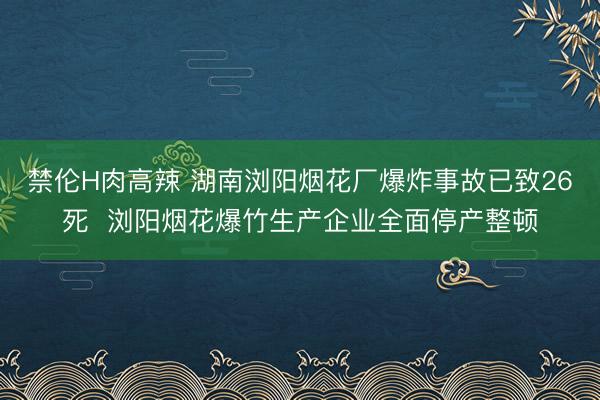 禁伦H肉高辣 湖南浏阳烟花厂爆炸事故已致26死  浏阳烟花爆竹生产企业全面停产整顿