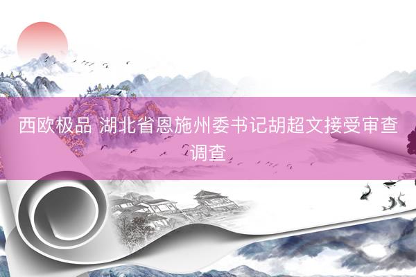 西欧极品 湖北省恩施州委书记胡超文接受审查调查