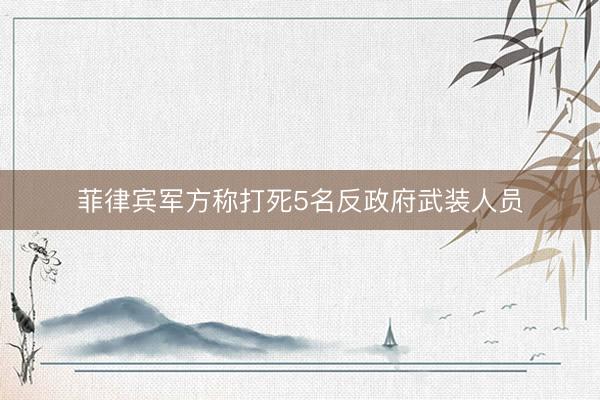 菲律宾军方称打死5名反政府武装人员