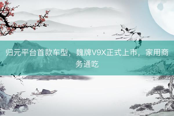 归元平台首款车型，魏牌V9X正式上市，家用商务通吃