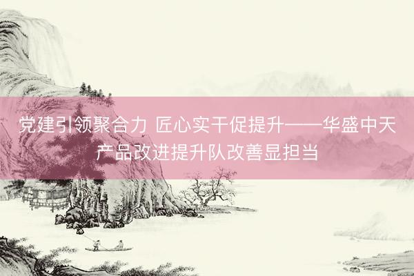 党建引领聚合力 匠心实干促提升——华盛中天产品改进提升队改善显担当