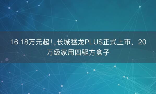 16.18万元起！长城猛龙PLUS正式上市，20万级家用四驱方盒子