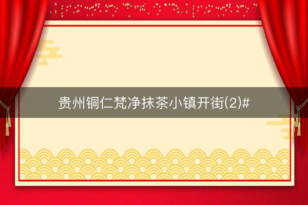 贵州铜仁梵净抹茶小镇开街(2)#