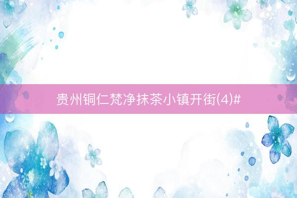 贵州铜仁梵净抹茶小镇开街(4)#