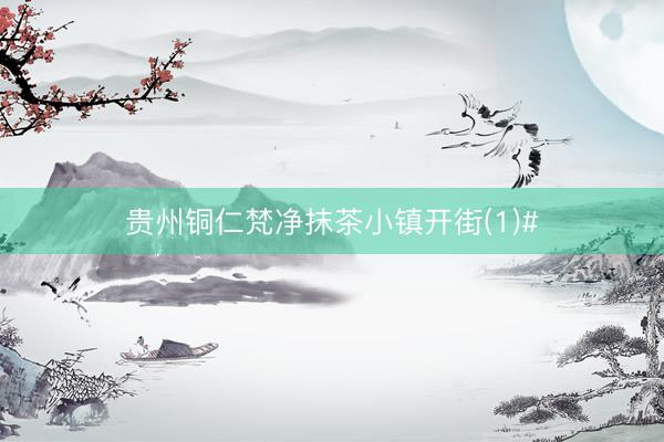 贵州铜仁梵净抹茶小镇开街(1)#