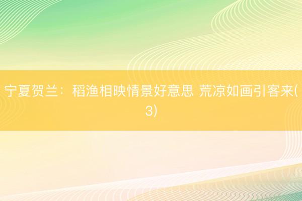 宁夏贺兰：稻渔相映情景好意思 荒凉如画引客来(3)