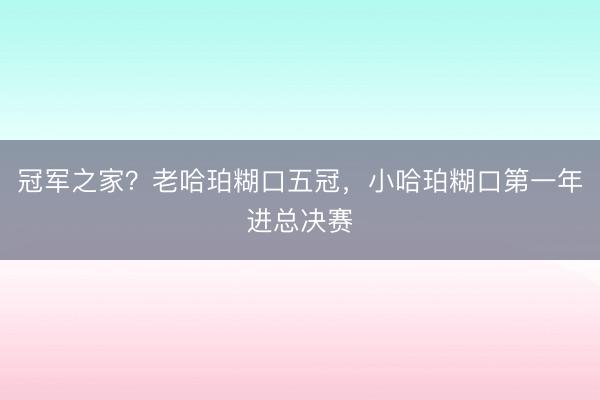冠军之家？老哈珀糊口五冠，小哈珀糊口第一年进总决赛