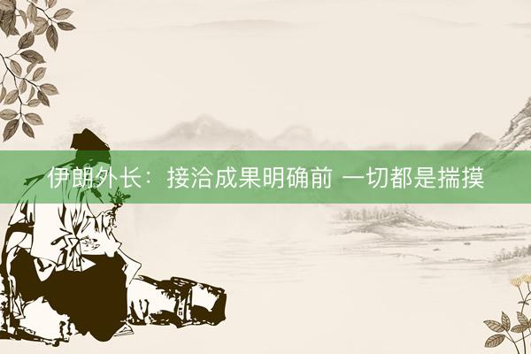 伊朗外长：接洽成果明确前 一切都是揣摸
