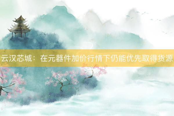 云汉芯城：在元器件加价行情下仍能优先取得货源