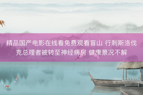 精品国产电影在线看免费观看盲山 行刺斯洛伐克总理者被转至神经病房 健康景况不解