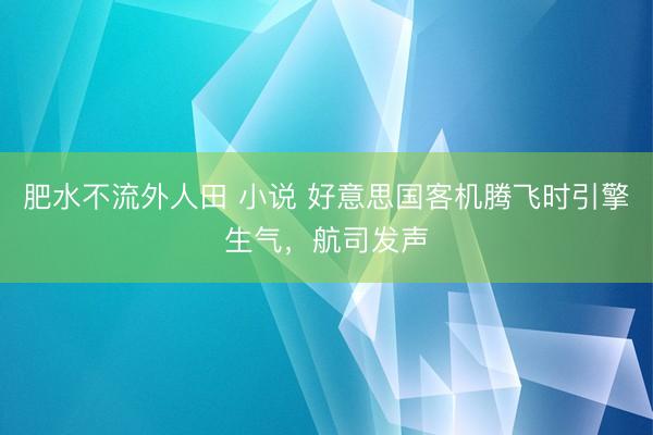 肥水不流外人田 小说 好意思国客机腾飞时引擎生气，航司发声