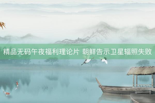 精品无码午夜福利理论片 朝鲜告示卫星辐照失败