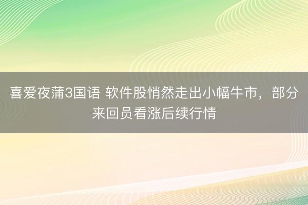 喜爱夜蒲3国语 软件股悄然走出小幅牛市，部分来回员看涨后续行情