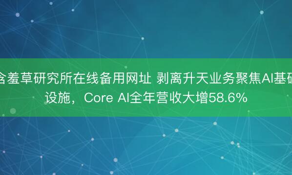 含羞草研究所在线备用网址 剥离升天业务聚焦AI基础设施，Core AI全年营收大增58.6%