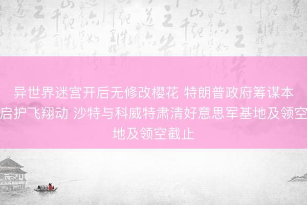 异世界迷宫开后无修改樱花 特朗普政府筹谋本周重启护飞翔动 沙特与科威特肃清好意思军基地及领空截止