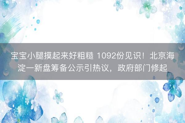 宝宝小腿摸起来好粗糙 1092份见识！北京海淀一新盘筹备公示引热议，政府部门修起