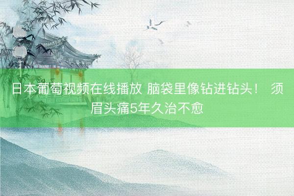日本葡萄视频在线播放 脑袋里像钻进钻头！ 须眉头痛5年久治不愈