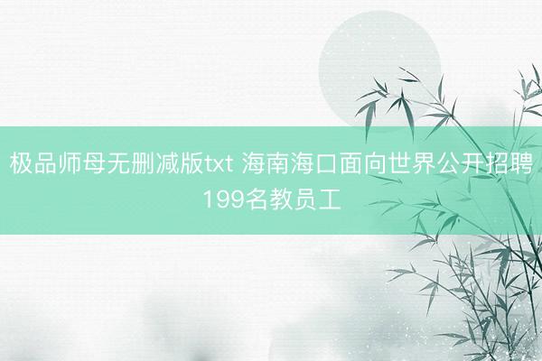 极品师母无删减版txt 海南海口面向世界公开招聘199名教员工