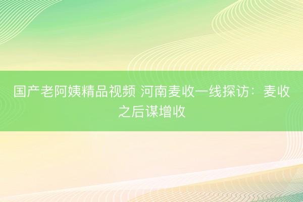 国产老阿姨精品视频 河南麦收一线探访：麦收之后谋增收