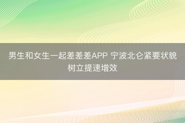 男生和女生一起差差差APP 宁波北仑紧要状貌树立提速增效