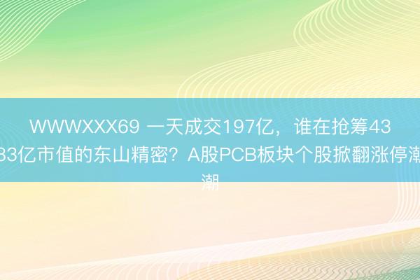 WWWXXX69 一天成交197亿，谁在抢筹4383亿市值的东山精密？A股PCB板块个股掀翻涨停潮