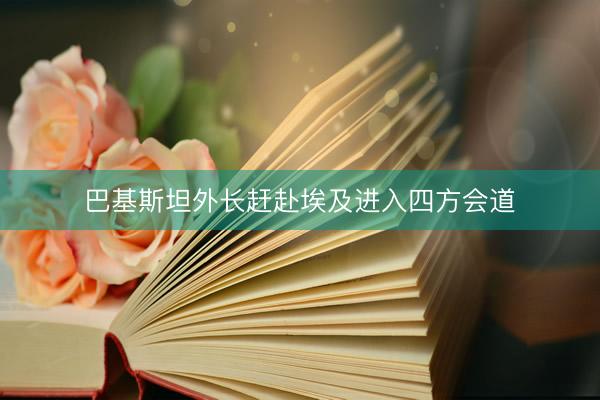 巴基斯坦外长赶赴埃及进入四方会道