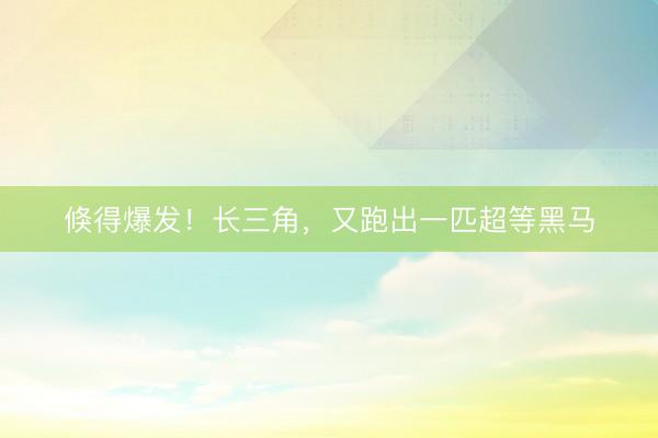 倏得爆发！长三角，又跑出一匹超等黑马